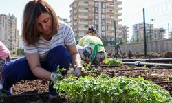 Bucak, kadınlarla birlikte Komün Bostanı’nda fide dikti