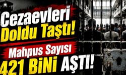 HEGEM uyarmıştı: Yılın ilk yarısında suç oranları tırmandı