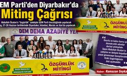 DEM Parti’den Diyarbakır’da Miting Çağrısı