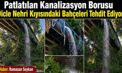 Patlayan kanalizasyon borusu Dicle Nehri Kıyısındaki Bahçeleri tehdit ediyor