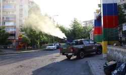 Diyarbakır’da  ilaçlama çalışması başladı