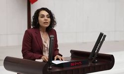 Sağır ve CODA Bireylerin Sorunları Meclis Gündeminde