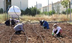Diyarbakır’da Kadınlar dayanışmayla üretiyor