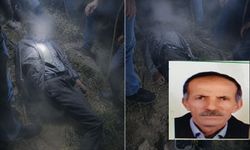 Kulp’ta kaybolan 76 yaşındaki kişinin cansız bedeni arazide bulundu