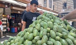 Kürt Avakadosu Diyarbakırla Sınırlı Kalmıyor Avrupa'ya Gönderiliyor