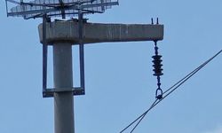 Leyleklerin akıma kapılmaması için direklere 13 özel platform kuruldu