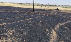 Mardin'de buğday ekili alanda çıkan yangın söndürüldü