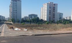 Kayapınar'da 3 Yıldır Ağaçlandırılan Park İçin Hizmete Açılma Çağrısı