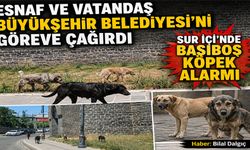 Esnaf ve Vatandaş Büyükşehir Belediyesi’ni Göreve Çağırdı