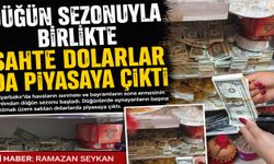 Düğün sezonuyla birlikte sahte dolarlar da piyasaya çıktı