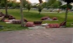 Bağcılar  Millet Bahçesi'nde Sedir ve Minder İşgali!