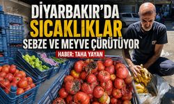 Diyarbakır'da Sıcaklıklar Sebze ve Meyve Çürütüyor