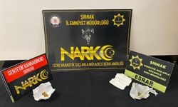 Kaçakçılık ve asayiş operasyonlarında 1 şüpheli tutuklandı