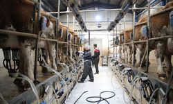 Süt üreticilerine 6 yılda 24,6 milyar lira destek verildi
