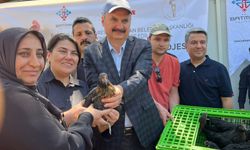662 üreticiye 39 bin 720 tavuk dağıtılacak