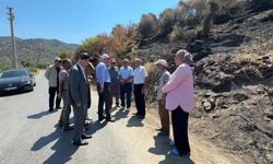 TZOB Genel Başkanı Bayraktar, Aydın'da incelemelerde bulundu