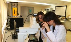 Öğrenciler yumurta kabuğunu geri dönüştürerek implantlarda kullanılabilecek biyomalzeme üretti