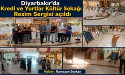 Diyarbakır'da Kredi ve Yurtlar Kültür Sokağı Resim Sergisi açıldı