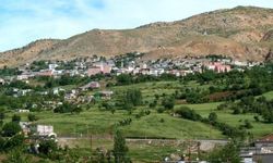 Kulp'ta Kaynak Temizliği Nedeniyle Geçici Su Kesintisi