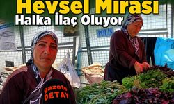 8 Bin Yıllık Hevsel Mirası Halka İlaç Oluyor