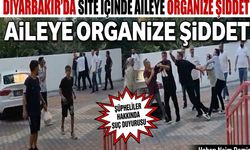 Diyarbakır'da site içinde aileye organize şiddet