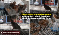 Kimi Besliyor, Kimi Sofrasına Götürüyor