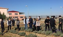 Dicle Üniversitesi’nden Bölge Tarımına Bilimsel Destek