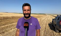 Diyarbakır'da Buğday’da  Rekolte Beklentisi: "Dönüm Başına 650 Kilo’’