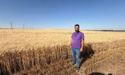 Diyarbakırlı Çiftçiler Enerji ve Yangın Sorununa Çözüm Bekliyor