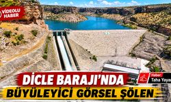 Dicle Barajı’nda büyüleyici görsel şölen