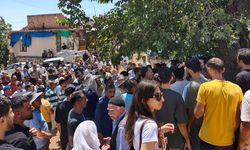 Diyarbakır'da Dev GES Projesine Köylülerden Büyük Tepki: "Binlerce Ağaç Kesilecek"