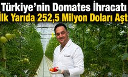 Türkiye'nin Domates İhracatı İlk Yarıda 252,5 Milyon Doları Aştı