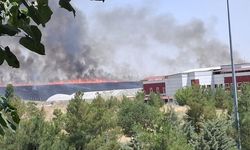 Dicle Üniversitesi’nde Anız Yangını Paniği: Alevler Binalara Ulaşmadan Söndürüldü