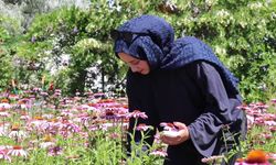 Ziraat öğrencileri mesleki deneyimi mezun olmadan kazanıyor