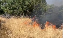 Hani İlçesinde Orman Yangını Devam Ediyor