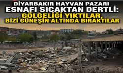 Diyarbakır Hayvan Pazarı Esnafı Sıcaktan Dertli
