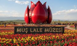 Muş İçin "Lale Müzesi" Projesi Yeniden Gündemde