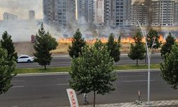 Diyarbakır Alarm Veriyor: Anız Yangınlarına Bir Yenisi Daha Eklendi