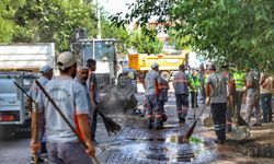 Kayapınar Belediyesi'nden Temizlik Seferberliği: Tüm Personel Sahaya İndi