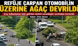 Refüje Çarpan Otomobilin Üzerine Ağaç Devrildi