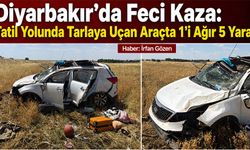 Diyarbakır'da Feci Kaza: Tatil yolunda tarlaya uçan araçta 1'i ağır 5 yaralı