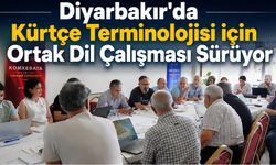 Diyarbakır'da Kürtçe Terminolojisi için Ortak Dil Çalışması Sürüyor