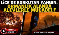 Lice'de Korkutan Yangın: Ormanlık Alanda Alevlerle Mücadele