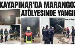 Kayapınar'da marangoz atölyesinde yangın: 2 yaralı