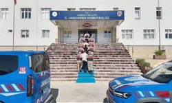 Nitelikli dolandırıcılık ve yasa dışı bahis operasyonlarında 100 şüpheli tutuklandı