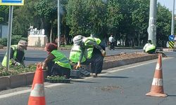 Diyarbakır Kadın Eliyle Güzelleşiyor