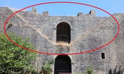 Restore Edildi, Otlara Teslim Oldu