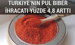 Türkiye'nin pul biber ihracatı yüzde 4,8 arttı