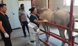 Dicle Üniversitesi'nde Şampiyon Ata Fizik Tedavi Desteği