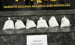 Şırnak'ta Tır Dorsesine Gizlenmiş 5,8 Kilogram Sentetik Uyuşturucu Ele Geçirildi